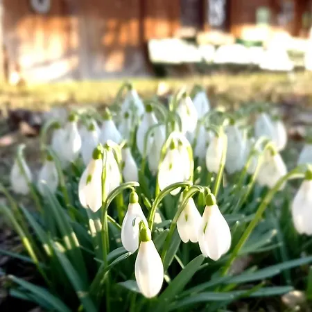 Bed and breakfast Emme *