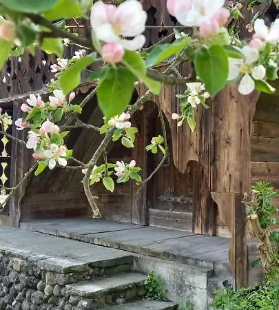 Emme Bed & Breakfast