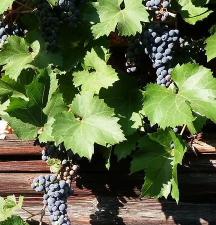 Emme Bed and breakfast