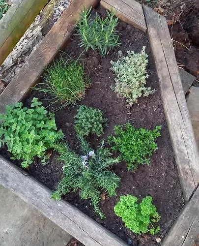 Emme ベッド・アンド・ブレックファスト ラングナウ