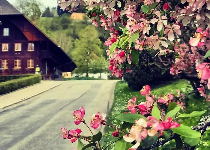Emme Langnau