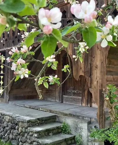 Emme Alojamento de Acomodação e Pequeno-almoço