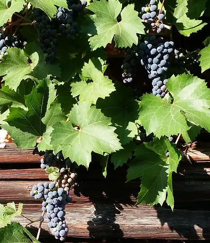 Emme Alojamento de Acomodação e Pequeno-almoço