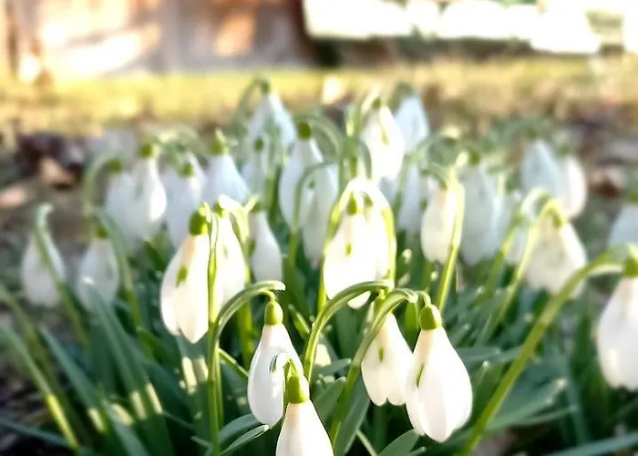 Bed & Breakfast Emme *