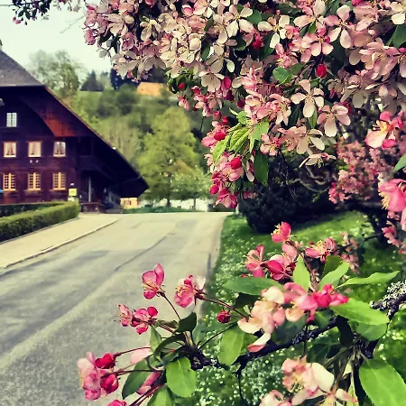 Emme Langnau